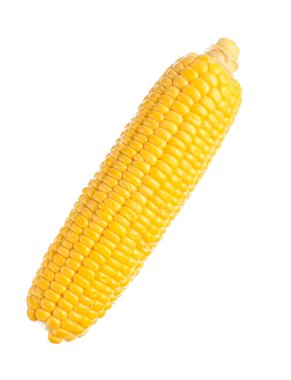 Beyaz arkaplanda taze mısır koçanı