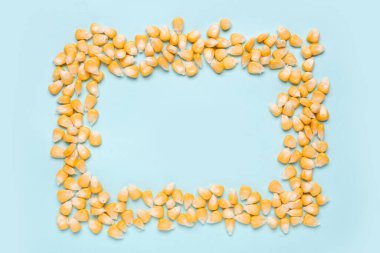 Mavi zemin üzerinde taze mısır tohumlarından yapılmış çerçeve