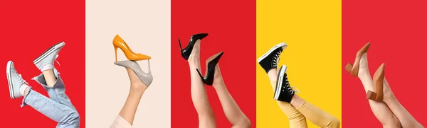 Набор Женских Ног Разных Стильных Туфлях Цветном Фоне — стоковое фото