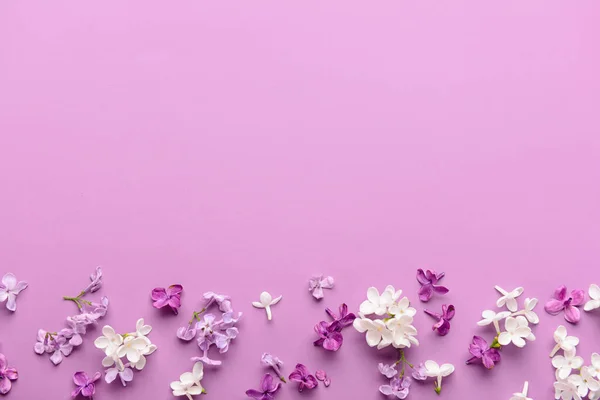 Composition Different Beautiful Lilac Flowers Pink Background — Stock Photo, Image