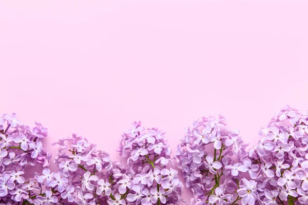 Krásné Čerstvé Šeříkové Květy Růžovém Pozadí — Stock fotografie
