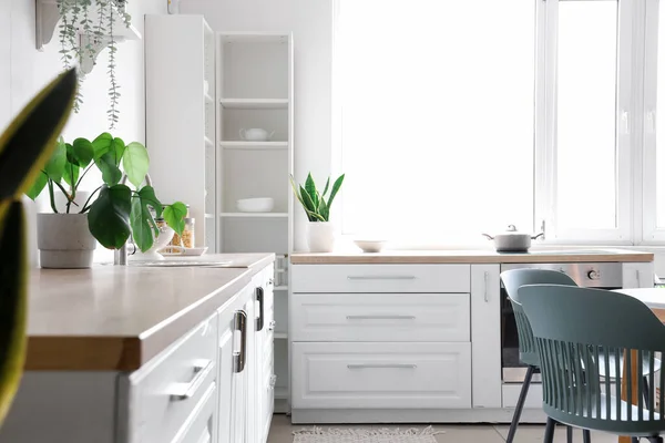 Interior Light Kitchen White Counters Houseplants Window — Stock Photo, Image