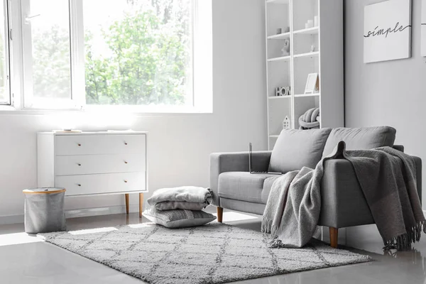 Cozy Grey Sofa Modern Laptop Interior Light Living Room — Stock Photo, Image