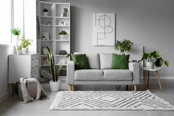 Interior Light Living Room Cozy Grey Sofa Houseplants — Stock Photo, Image