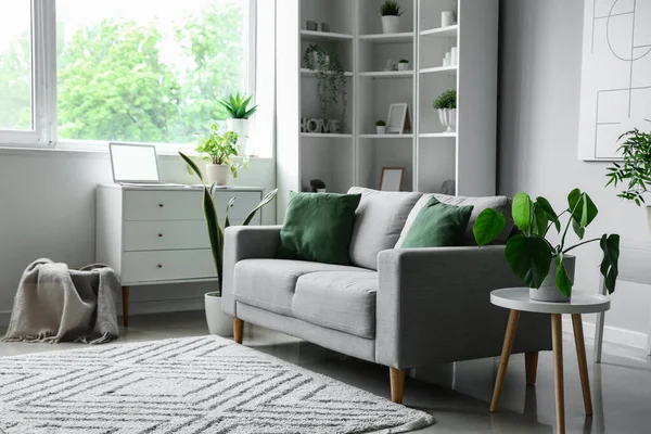 居心地の良いグレーのソファと観葉植物と光のリビングルームのインテリア — ストック写真