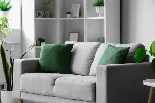 Cozy Grey Sofa Green Cushions Interior Light Living Room — Stock Photo, Image
