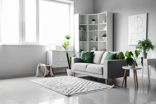 轻便客厅内饰舒适的灰色沙发和室内植物 — 图库照片