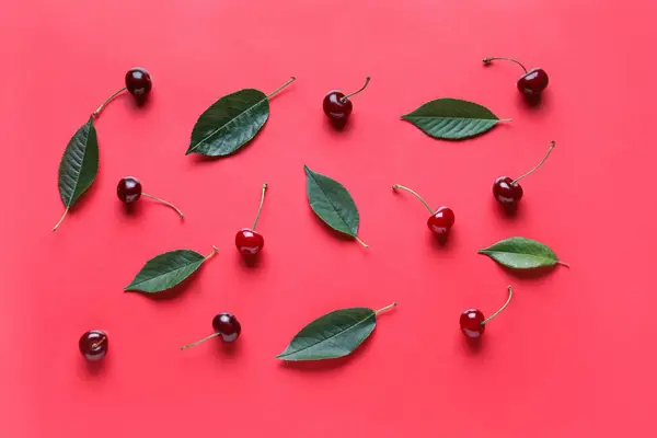 Stock image Sweet cherries and leaves on red background