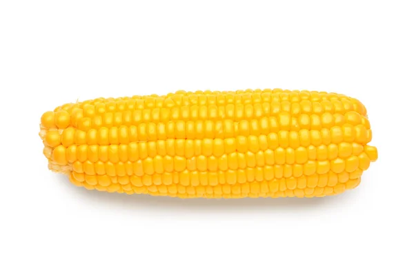 Fresh Corn Cob White Background — Stock Photo, Image