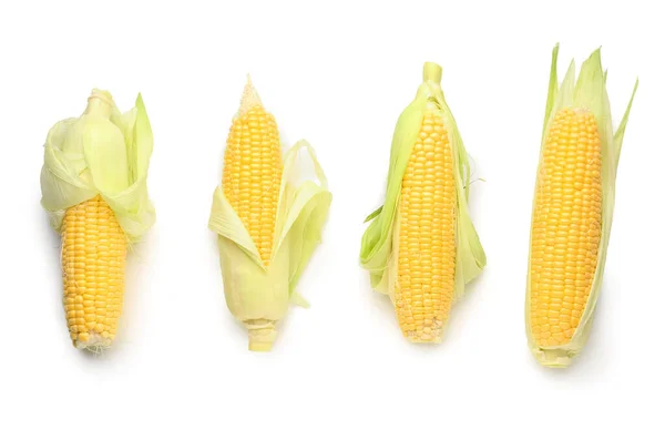 Many Fresh Corn Cobs White Background — Stock Photo, Image
