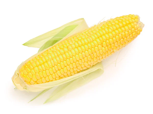 Friss Kukorica Cob Fehér Háttér — Stock Fotó