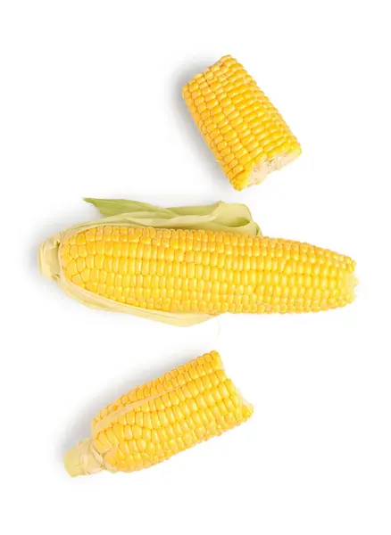 Friss Kukorica Cobs Fehér Háttér — Stock Fotó