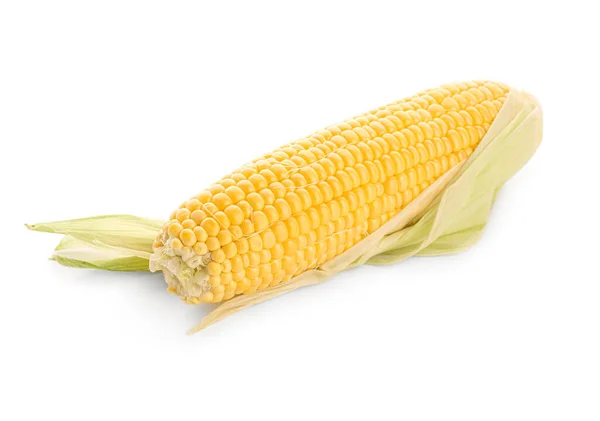 Свежая Кукуруза Початок Белом Фоне — стоковое фото