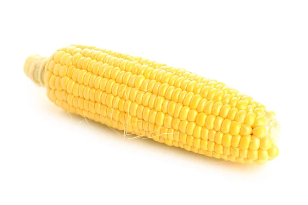 Свіжий Кукурудзяний Коб Білому Тлі — стокове фото