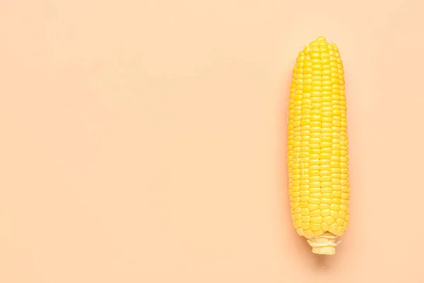 Fresh Corn Cob Pink Background — Stock Photo, Image