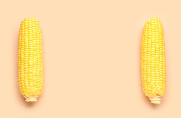 Fresh Corn Cobs Pink Background — Stock Photo, Image