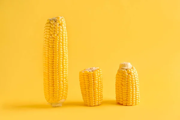 Verse Maïskolven Gele Achtergrond — Stockfoto
