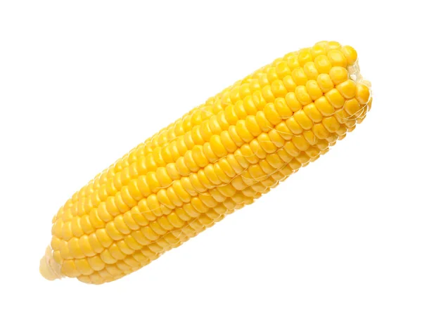 Čerstvé Kukuřice Cob Bílém Pozadí — Stock fotografie