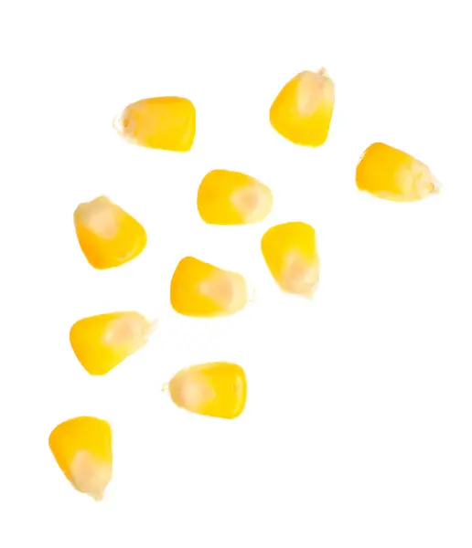 Čerstvé Kukuřice Semena Bílém Pozadí — Stock fotografie