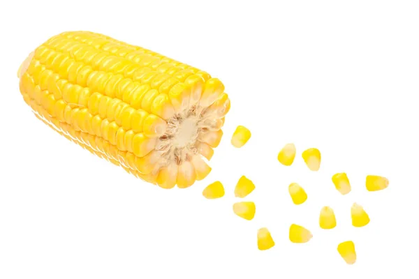 Свежий Кукурузный Початок Семена Белом Фоне — стоковое фото