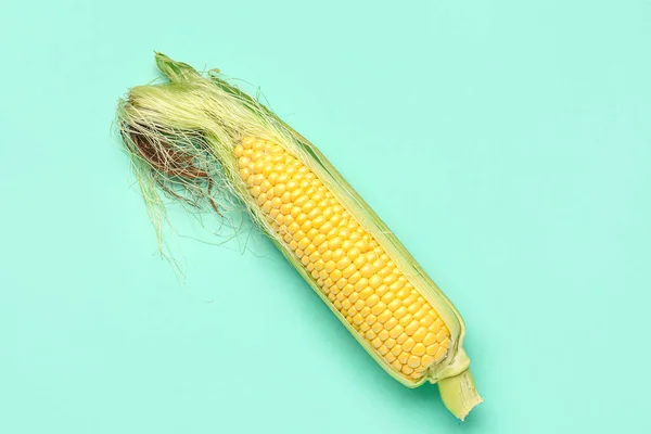 Fresh Corn Cob Blue Background — Stock Photo, Image