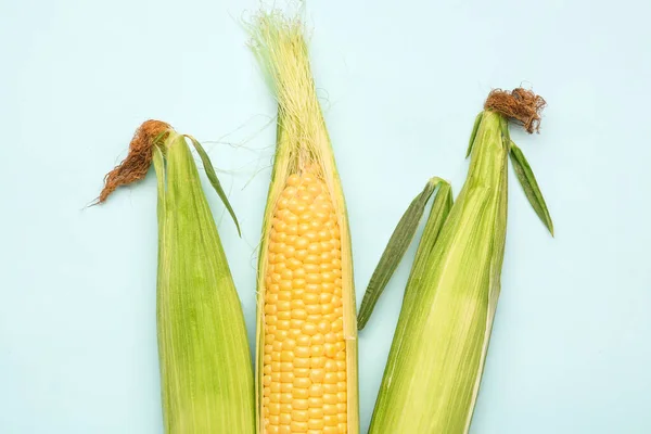 Świeże Kolby Kukurydzy Niebieskim Tle — Zdjęcie stockowe