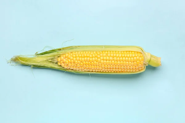Świeżych Kukurydzy Cob Niebieskim Tle — Zdjęcie stockowe
