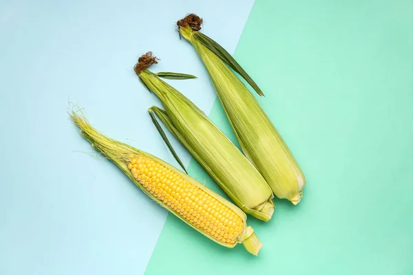 Friss Kukorica Cobs Kék Háttér — Stock Fotó