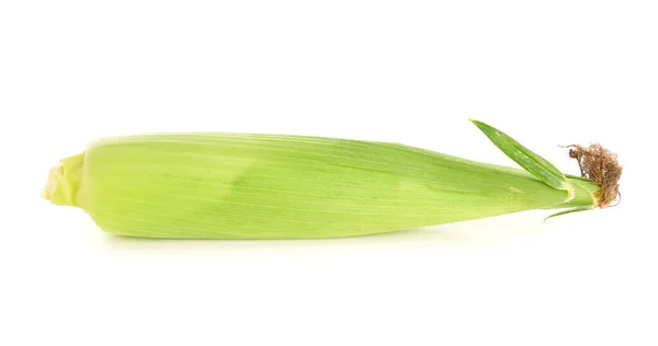Čerstvé Kukuřice Cob Bílém Pozadí — Stock fotografie