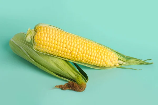 Fresh Corn Cobs Blue Background — Stock Photo, Image