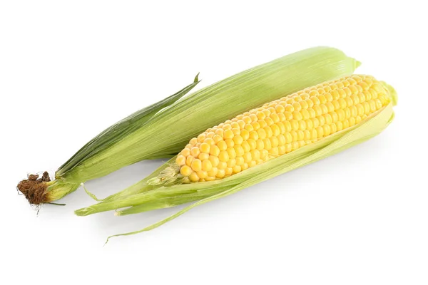 白色背景的新鲜玉米芯 — 图库照片