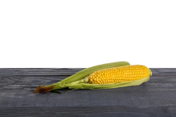 Fresh Corn Cobs Blue Wooden Table White Background — Stock Photo, Image