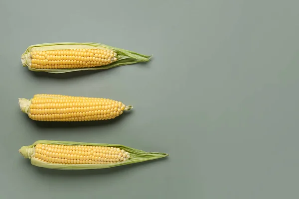 Свіжі Кукурудзяні Цицьки Сірому Фоні — стокове фото