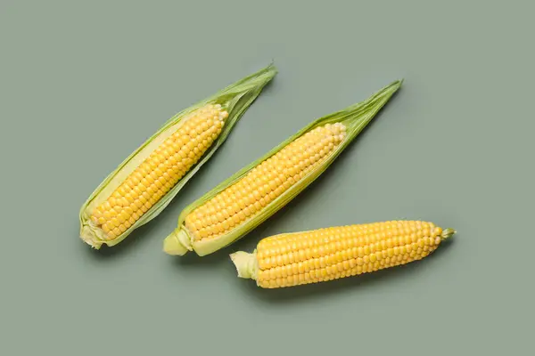 Свіжі Кукурудзяні Цицьки Сірому Фоні — стокове фото