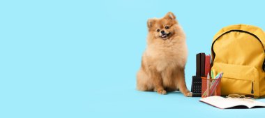Şirin pofuduk köpek, okul çantası ve açık mavi arkaplanda metin için yeri olan kırtasiye malzemesi.