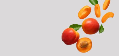 Açık arkaplanda taze kayısılar ve metin için boşluk uçuyor