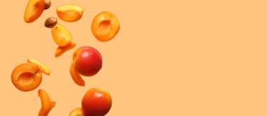 Turuncu arka planda taze kayısılar ve metin için boşluk