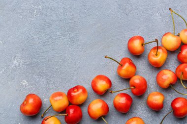 Mavi arka planda bir sürü tatlı sarı kiraz