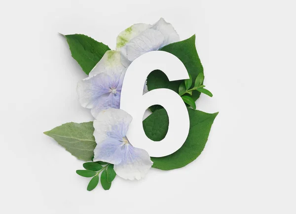 Hojas Verdes Flores Con Papel Número Seis Sobre Fondo Blanco — Foto de Stock