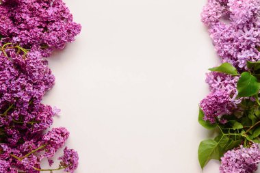 Beyaz arka planda güzel parlak leylak çiçekleri