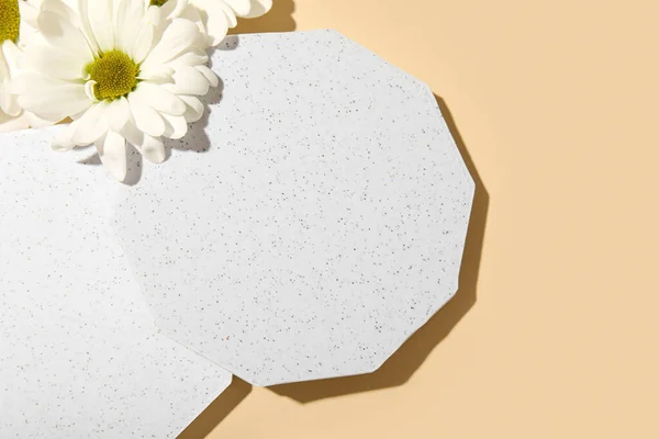 Decorative Plaster Podiums Daisy Flowers Beige Background — Stock Photo, Image