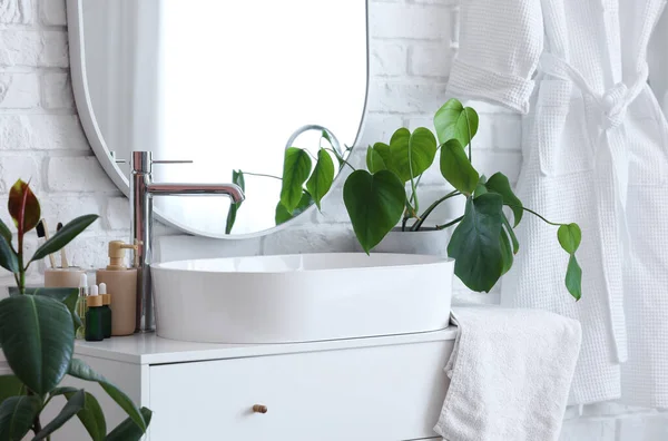 バスルームで引き出しや観葉植物の胸にバスアクセサリー付きの白いシンク — ストック写真