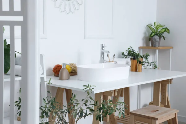 白いシンク バスアクセサリー 観葉植物と光浴のインテリア — ストック写真