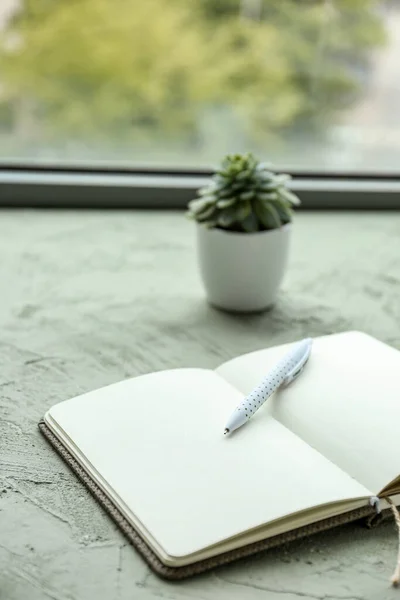 Open Notebook Pen Houseplant Table Window — Stock Photo, Image