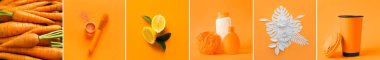 Turuncu renkli fotoğrafların kolajı