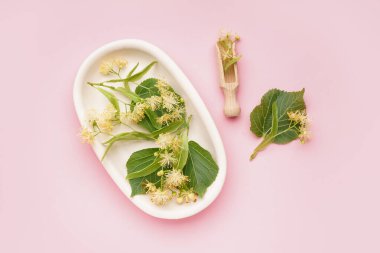 Taze ıhlamur çiçekleri ve pembe arka planda yapraklar.