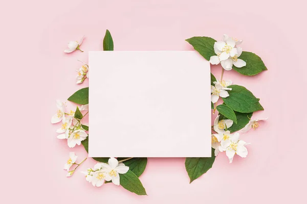 stock image Composition with blank card and beautiful jasmine flowers on pink background