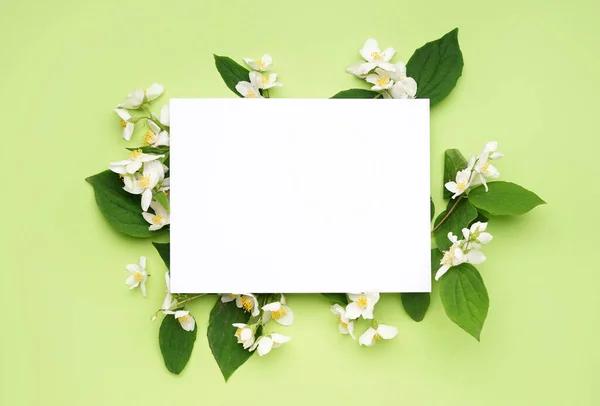 空のカードと緑の背景に美しいジャスミンの花と構成 — ストック写真