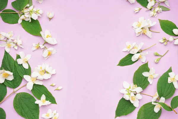 Composition Beautiful Jasmine Flowers Leaves Lilac Background — Stock Photo, Image