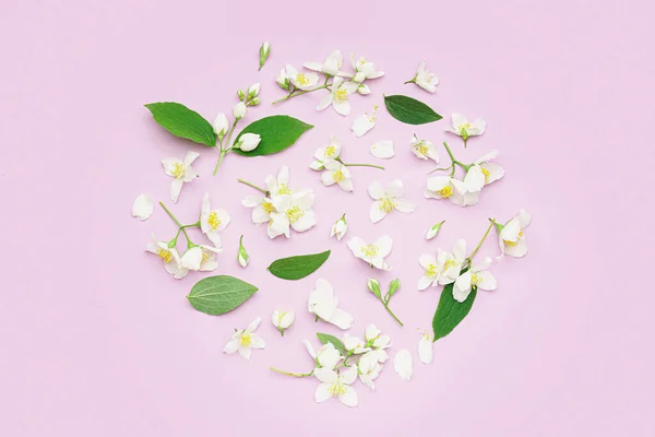 Composition Beautiful Jasmine Flowers Lilac Background — Stock Photo, Image